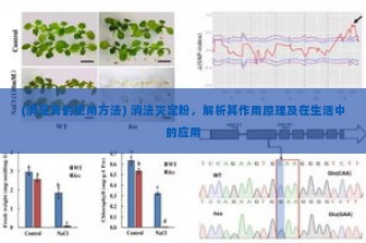 (消定膏的使用方法) 消法灭定粉，解析其作用原理及在生活中的应用