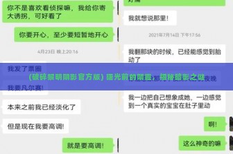 (破碎黎明阴影官方版) 曙光前的阴霾，揭秘暗影之谜