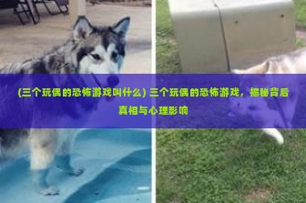 (三个玩偶的恐怖游戏叫什么) 三个玩偶的恐怖游戏，揭秘背后真相与心理影响