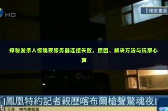 探秘发条人惊魂夜服务器连接失败，原因、解决方法与玩家心声